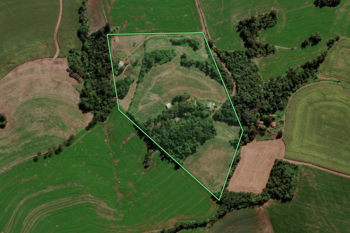 Imagem de satélite do imóvel rural em Dois Vizinhos (PR), com o contorno declarado no CAR desenhado por cima.