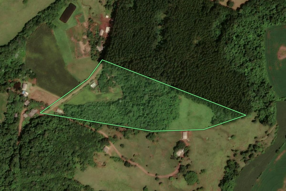 Imagem de satélite do imóvel rural em Dois Vizinhos (PR), com o contorno declarado no CAR desenhado por cima.