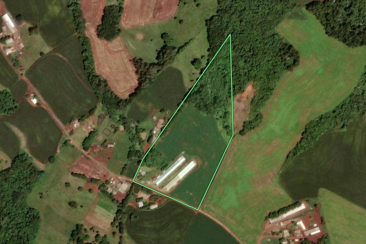 Imagem de satélite do imóvel rural em Dois Vizinhos (PR), com o contorno declarado no CAR desenhado por cima.