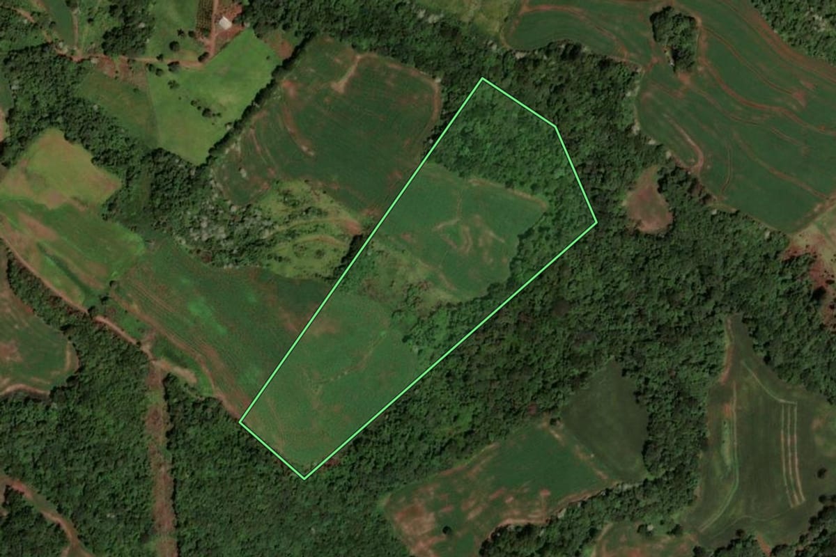 Imagem de satélite do imóvel rural em Dois Vizinhos (PR), com o contorno declarado no CAR desenhado por cima.