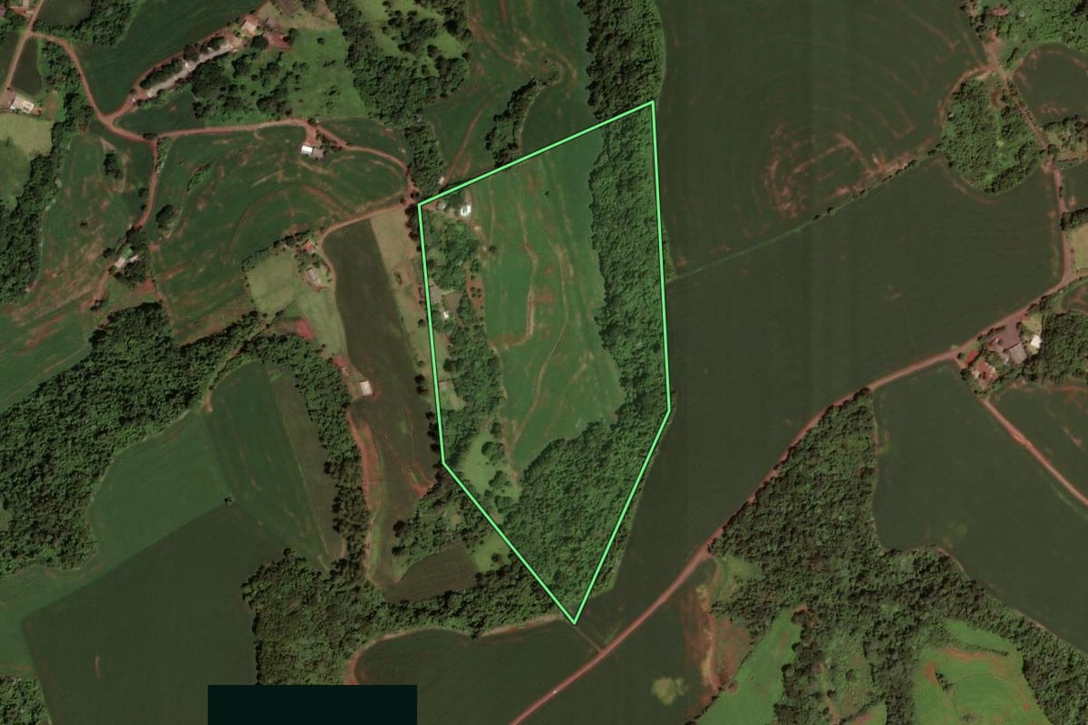 Imagem de satélite do imóvel rural em Dois Vizinhos (PR), com o contorno declarado no CAR desenhado por cima.
