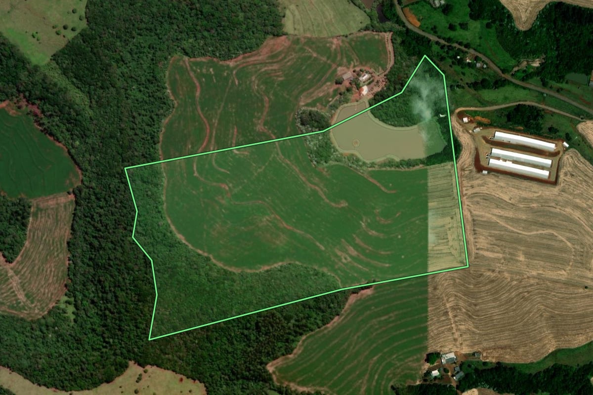 Imagem de satélite do imóvel rural em Dois Vizinhos (PR), com o contorno declarado no CAR desenhado por cima.