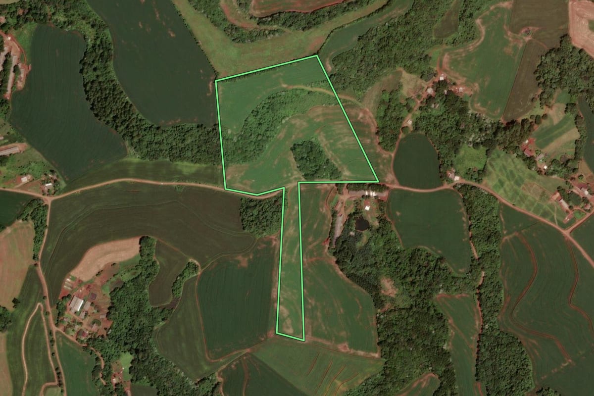 Imagem de satélite do imóvel rural em Dois Vizinhos (PR), com o contorno declarado no CAR desenhado por cima.