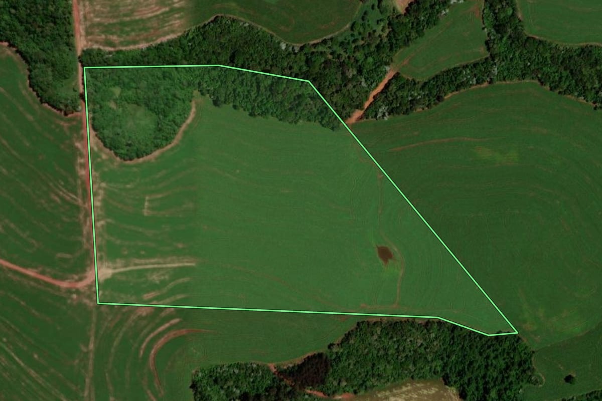 Imagem de satélite do imóvel rural em Dois Vizinhos (PR), com o contorno declarado no CAR desenhado por cima.