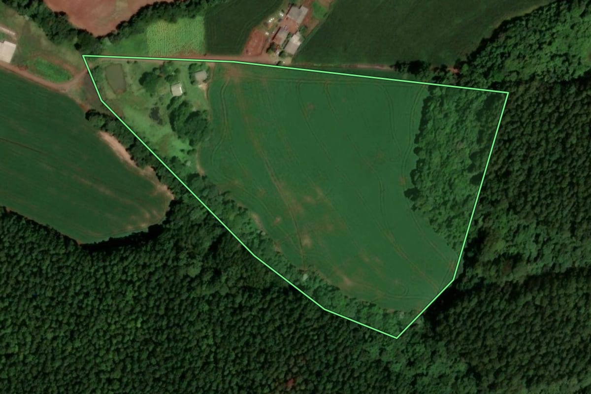 Imagem de satélite do imóvel rural em Dois Vizinhos (PR), com o contorno declarado no CAR desenhado por cima.