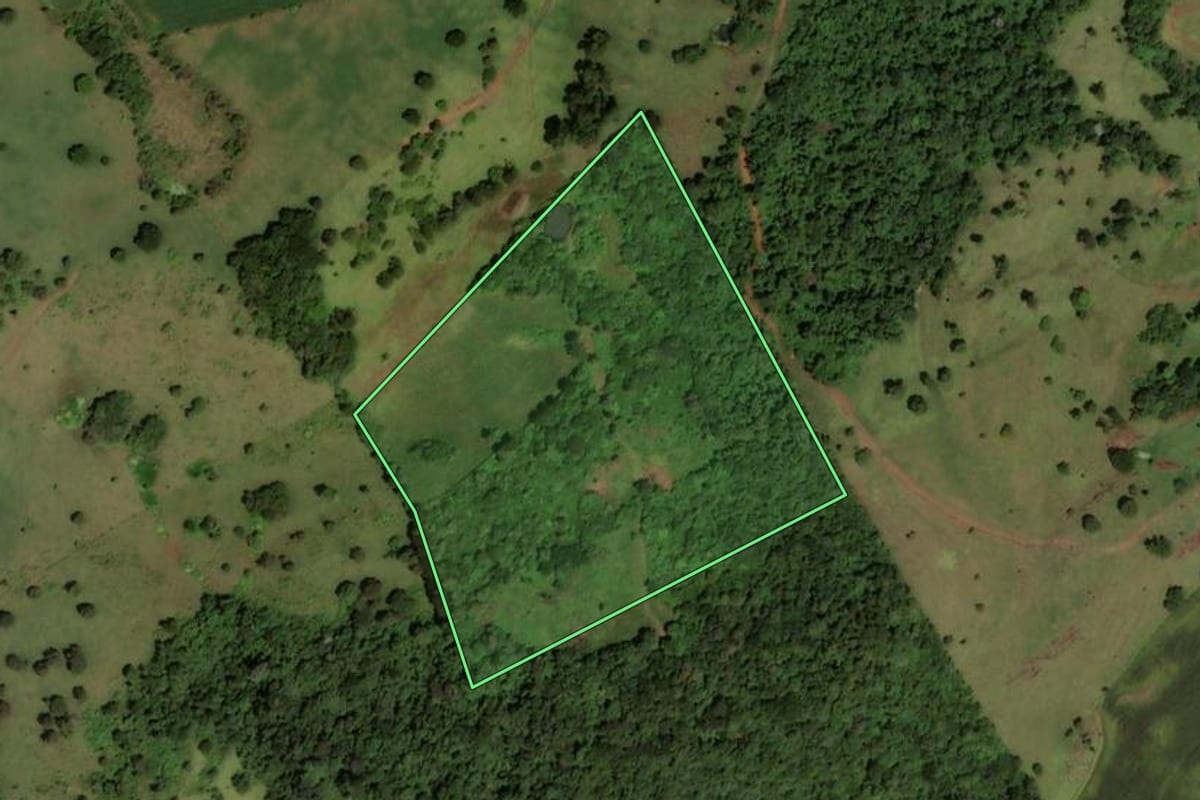 Imagem de satélite do imóvel rural em Dois Vizinhos (PR), com o contorno declarado no CAR desenhado por cima.
