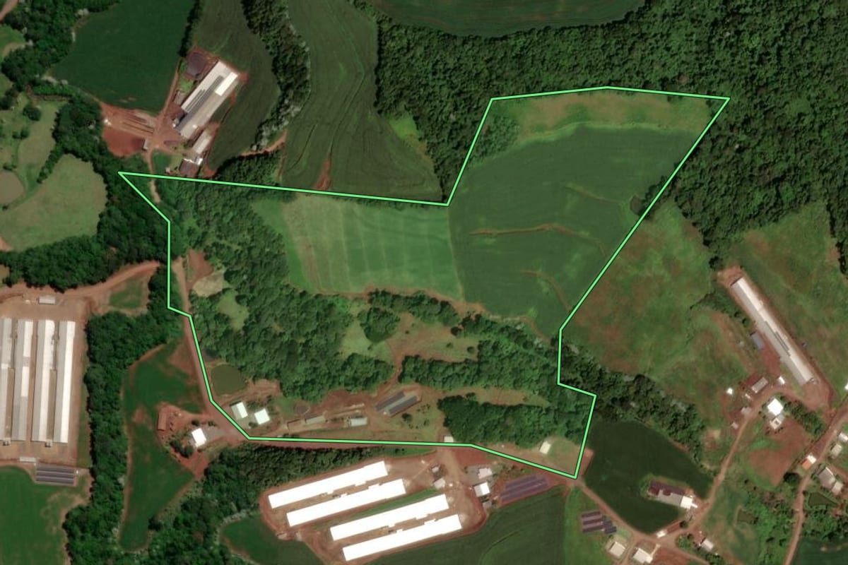 Imagem de satélite do imóvel rural em Dois Vizinhos (PR), com o contorno declarado no CAR desenhado por cima.