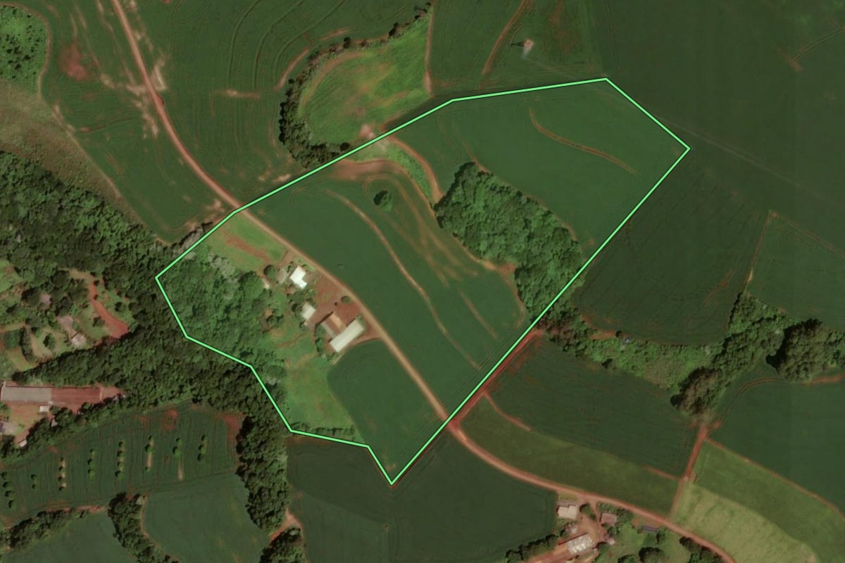Imagem de satélite do imóvel rural em Dois Vizinhos (PR), com o contorno declarado no CAR desenhado por cima.