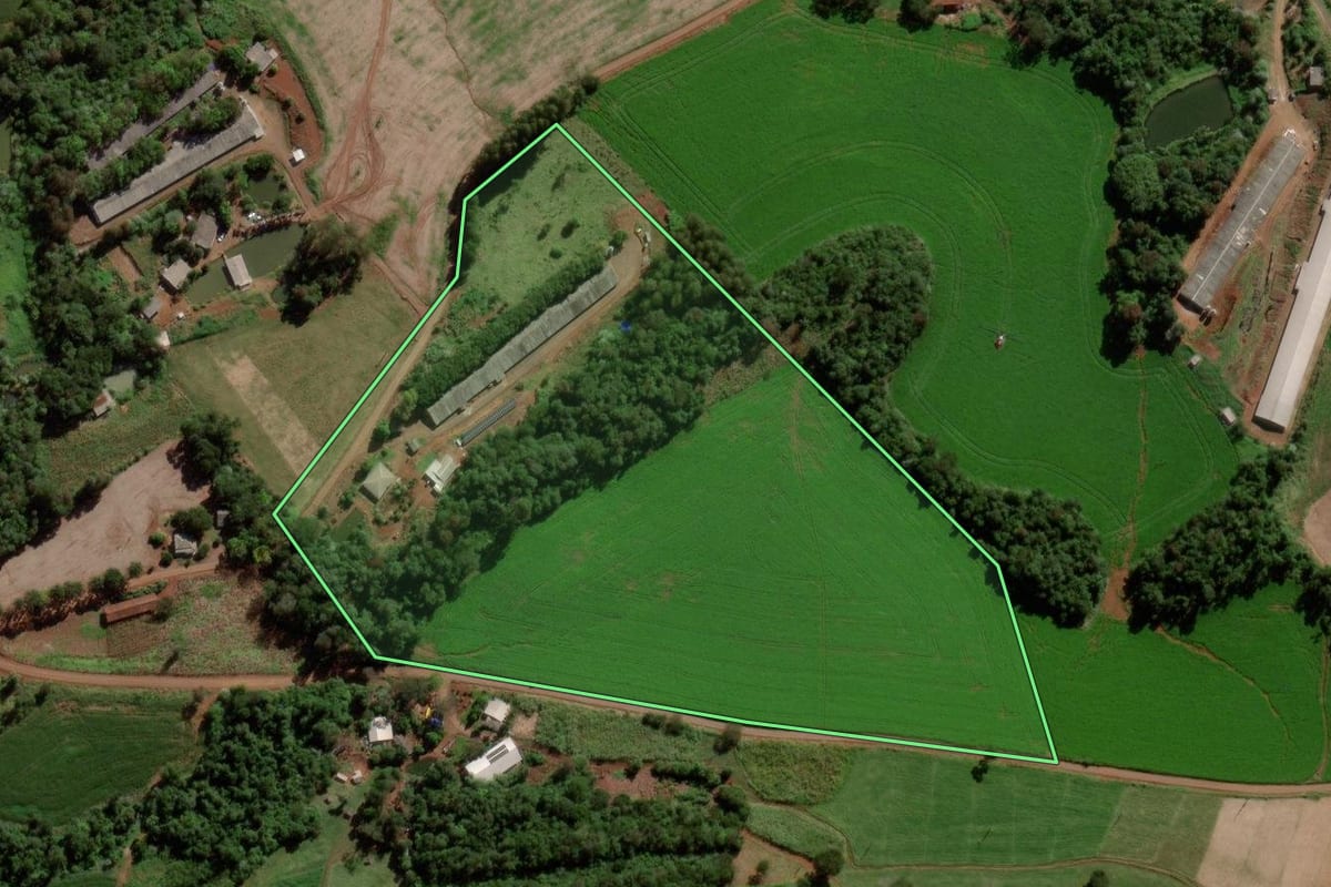 Imagem de satélite do imóvel rural em Dois Vizinhos (PR), com o contorno declarado no CAR desenhado por cima.