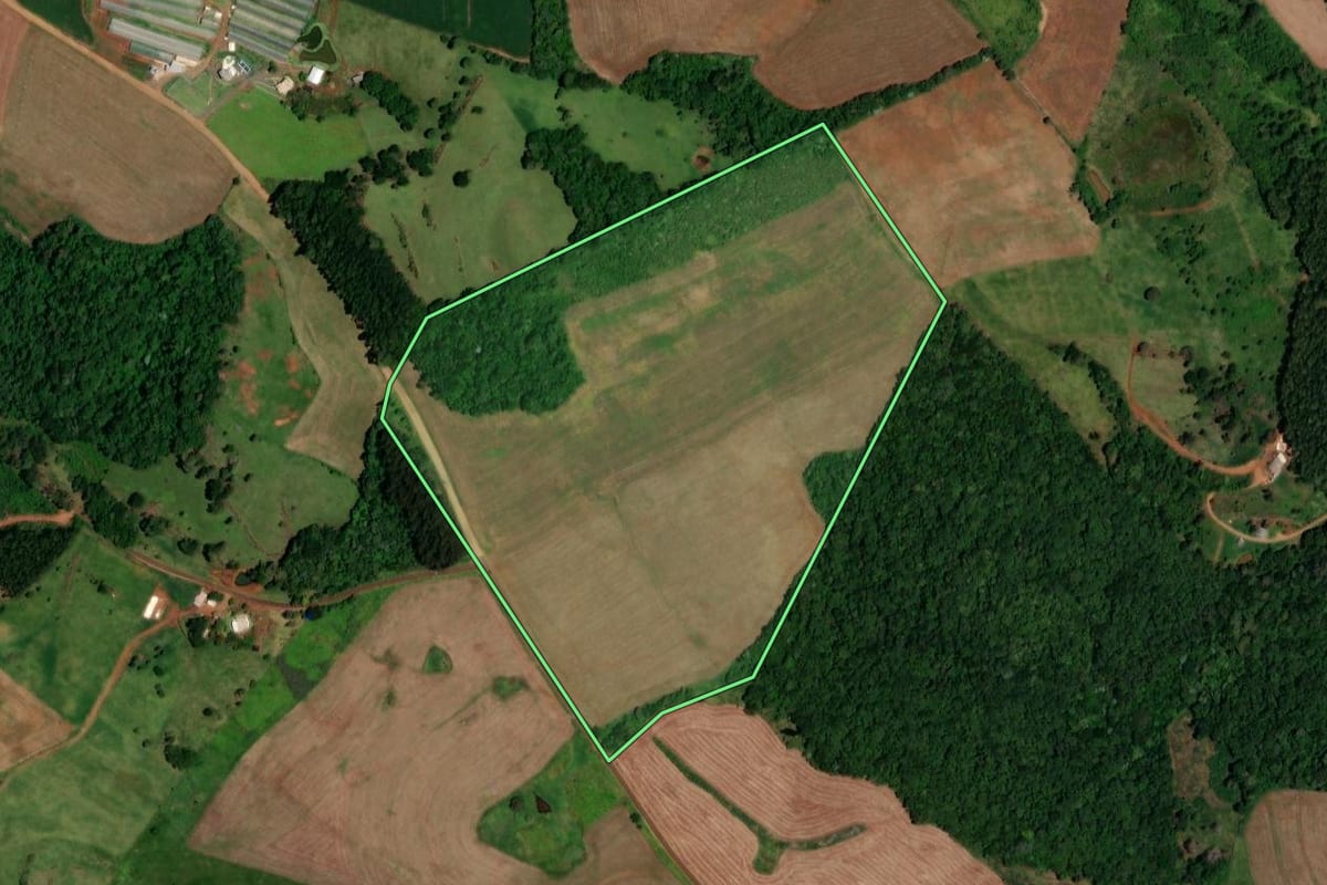 Imagem de satélite do imóvel rural em Dois Vizinhos (PR), com o contorno declarado no CAR desenhado por cima.