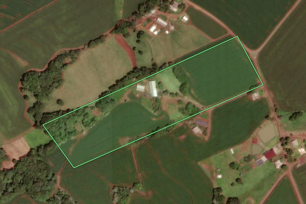 Imagem de satélite do imóvel rural em Dois Vizinhos (PR), com o contorno declarado no CAR desenhado por cima.