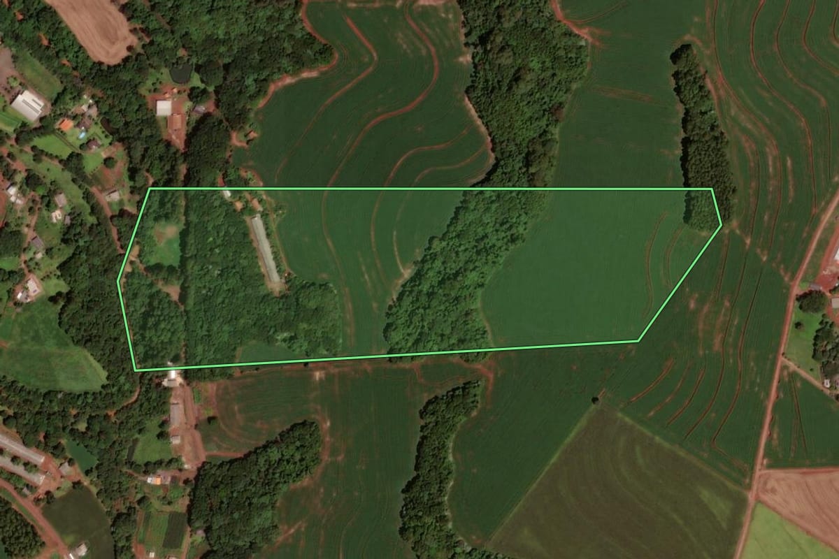 Imagem de satélite do imóvel rural em Dois Vizinhos (PR), com o contorno declarado no CAR desenhado por cima.