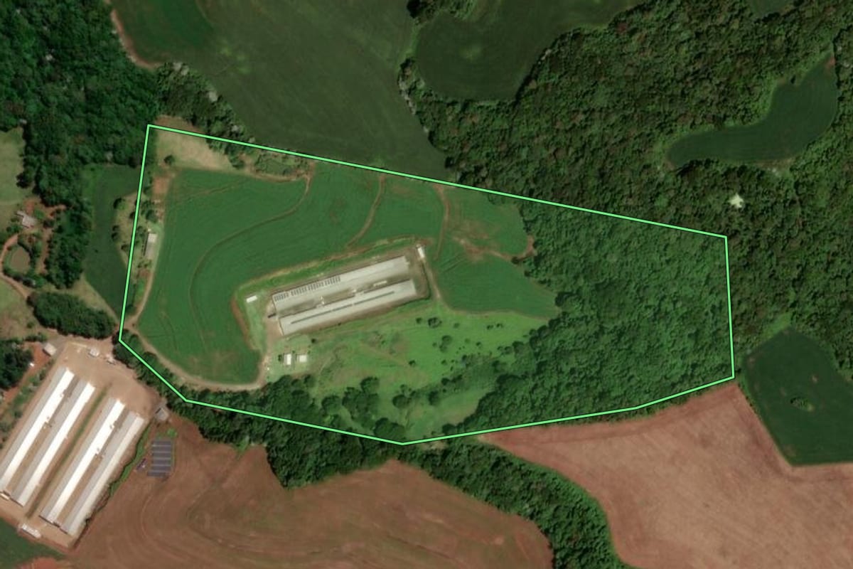 Imagem de satélite do imóvel rural em Dois Vizinhos (PR), com o contorno declarado no CAR desenhado por cima.