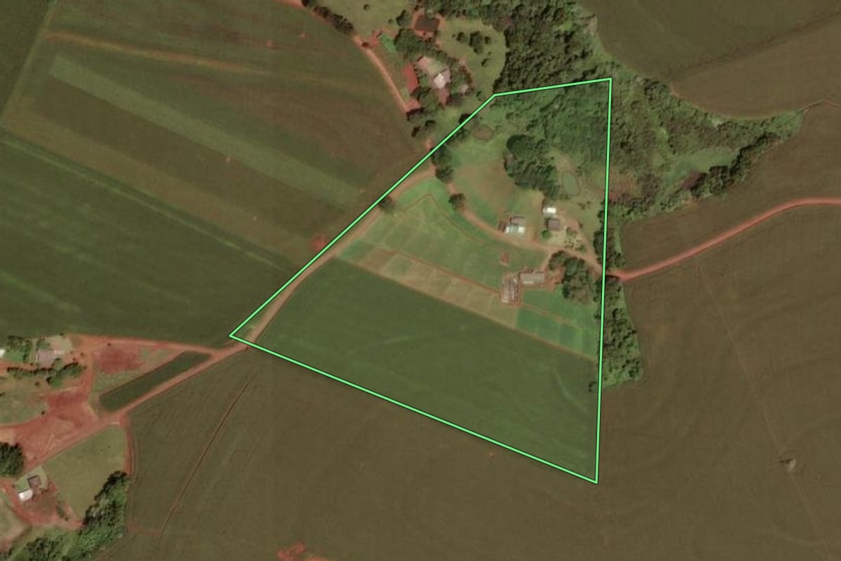 Imagem de satélite do imóvel rural em Dois Vizinhos (PR), com o contorno declarado no CAR desenhado por cima.