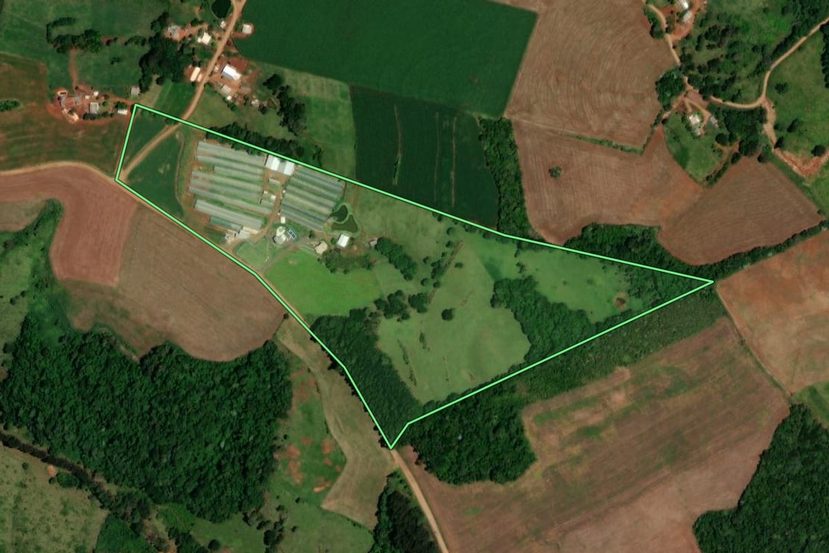 Imagem de satélite do imóvel rural em Dois Vizinhos (PR), com o contorno declarado no CAR desenhado por cima.