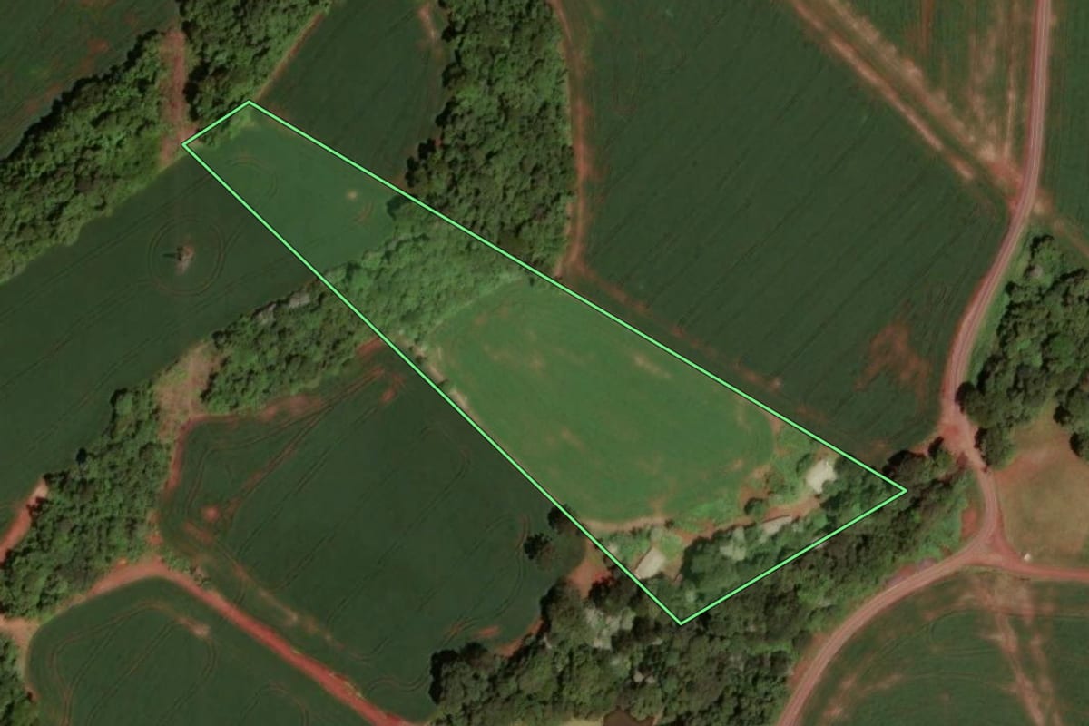 Imagem de satélite do imóvel rural em Dois Vizinhos (PR), com o contorno declarado no CAR desenhado por cima.