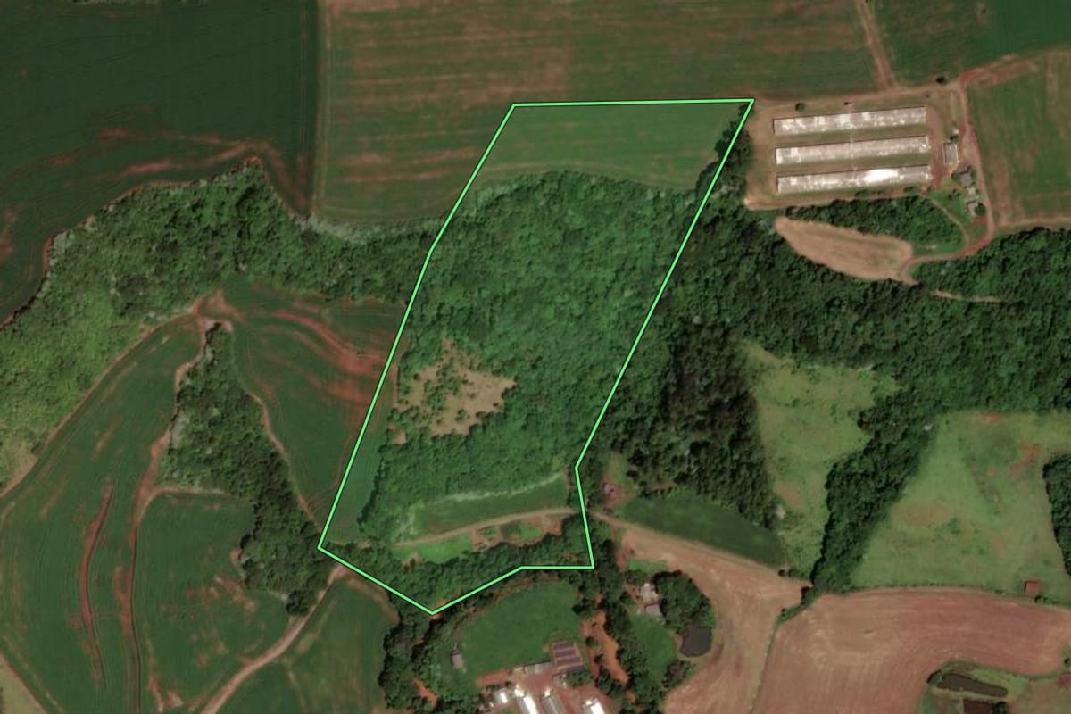 Imagem de satélite do imóvel rural em Dois Vizinhos (PR), com o contorno declarado no CAR desenhado por cima.