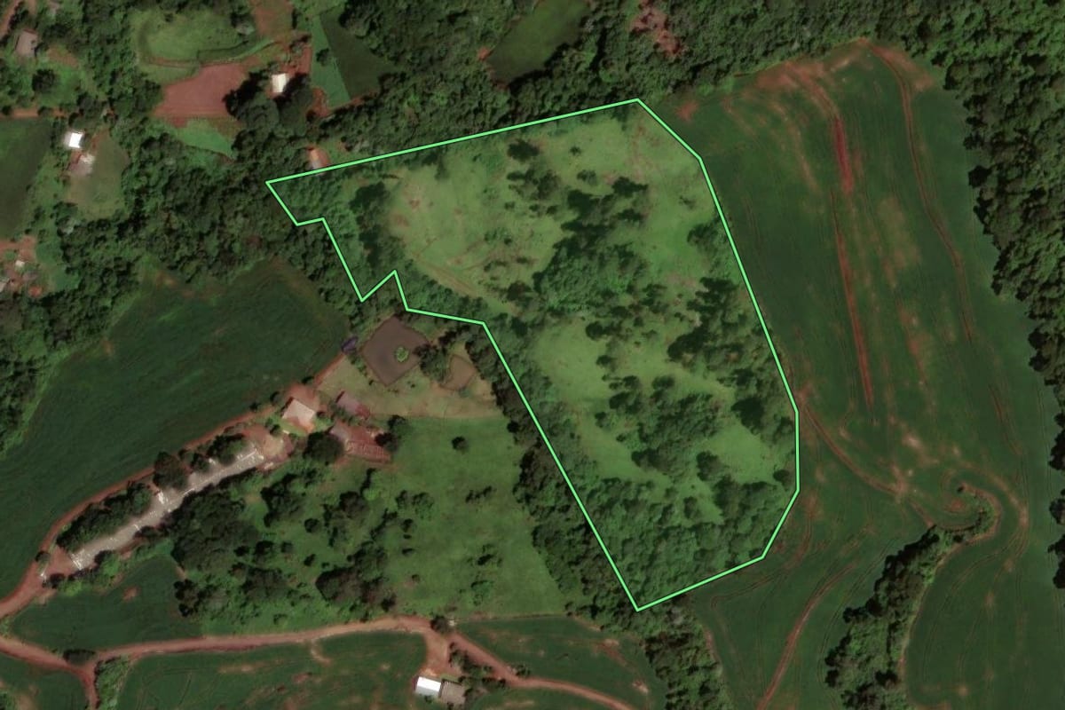 Imagem de satélite do imóvel rural em Dois Vizinhos (PR), com o contorno declarado no CAR desenhado por cima.