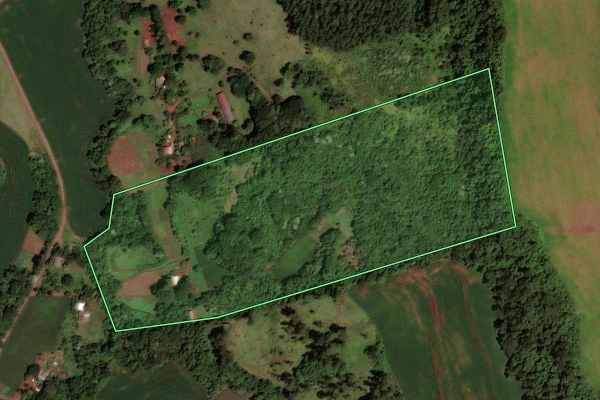 Imagem de satélite do imóvel rural em Dois Vizinhos (PR), com o contorno declarado no CAR desenhado por cima.