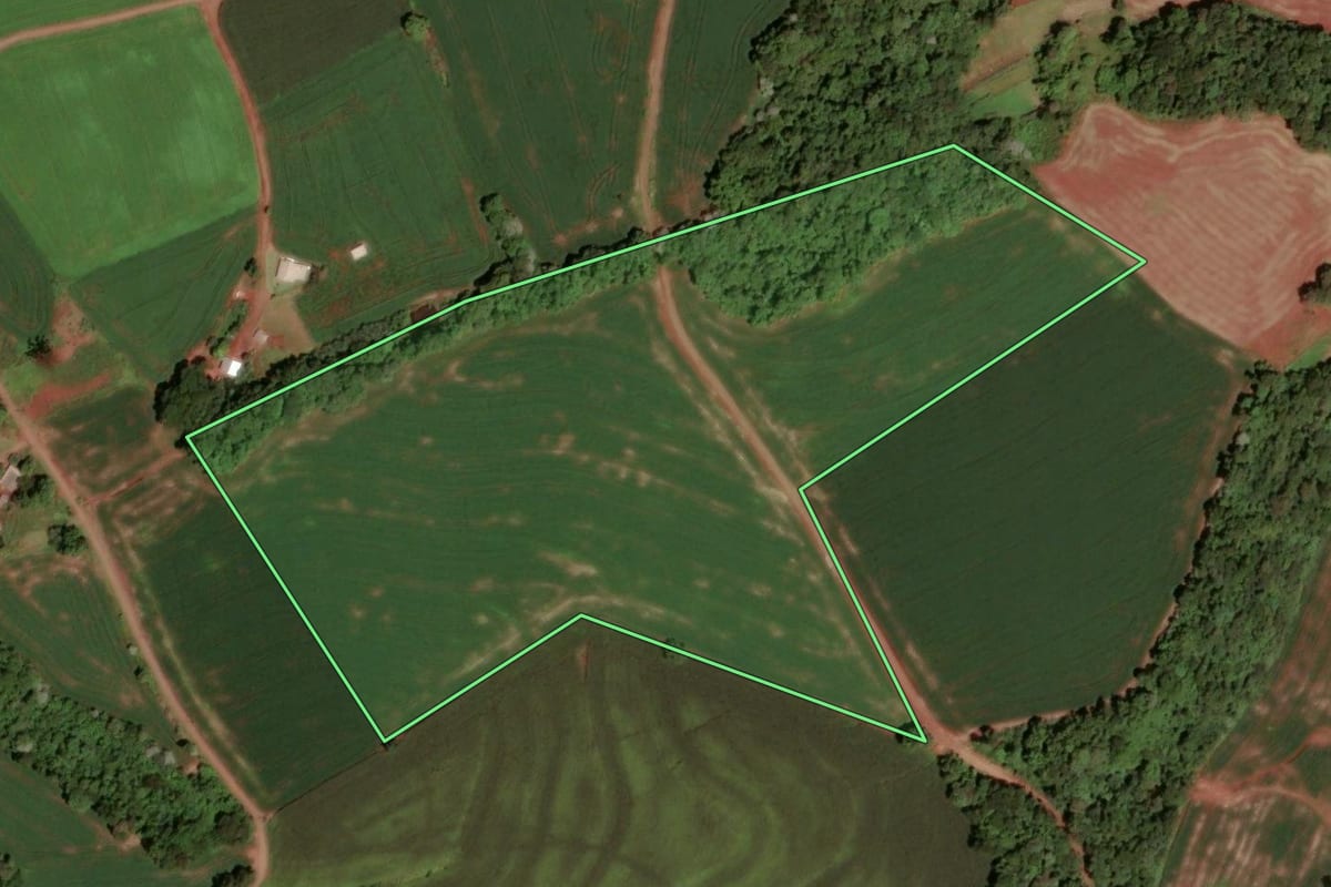 Imagem de satélite do imóvel rural em Dois Vizinhos (PR), com o contorno declarado no CAR desenhado por cima.