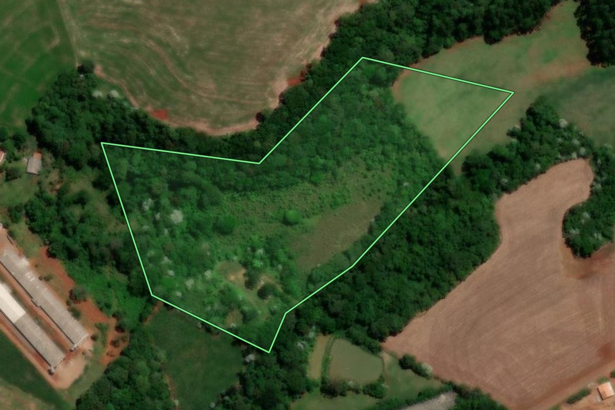 Imagem de satélite do imóvel rural em Dois Vizinhos (PR), com o contorno declarado no CAR desenhado por cima.