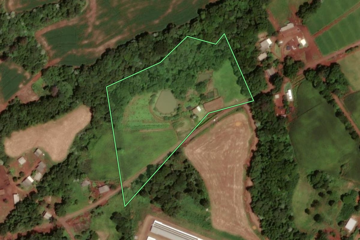 Imagem de satélite do imóvel rural em Dois Vizinhos (PR), com o contorno declarado no CAR desenhado por cima.