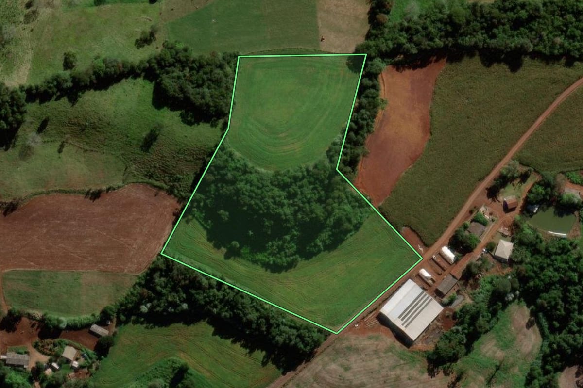 Imagem de satélite do imóvel rural em Dois Vizinhos (PR), com o contorno declarado no CAR desenhado por cima.