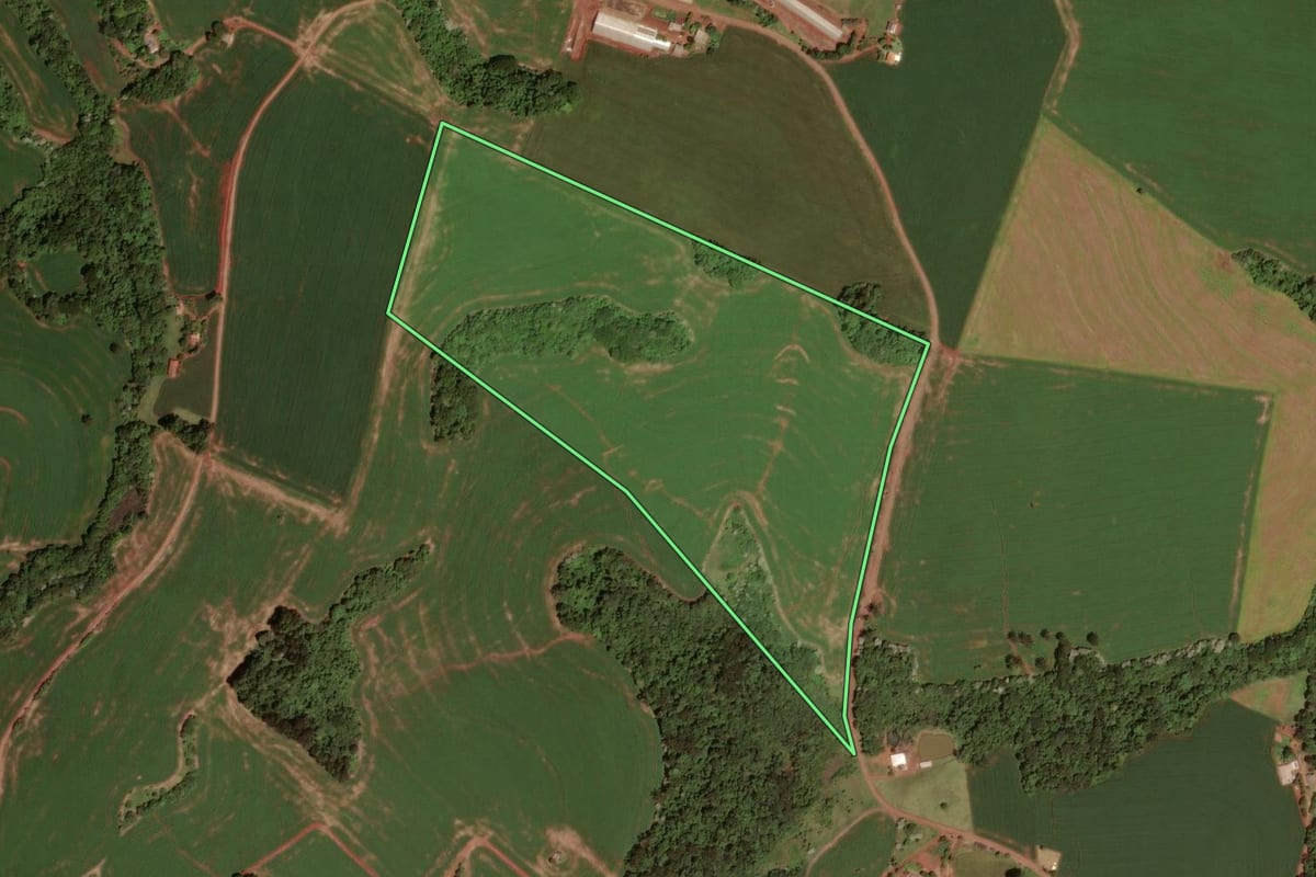Imagem de satélite do imóvel rural em Dois Vizinhos (PR), com o contorno declarado no CAR desenhado por cima.