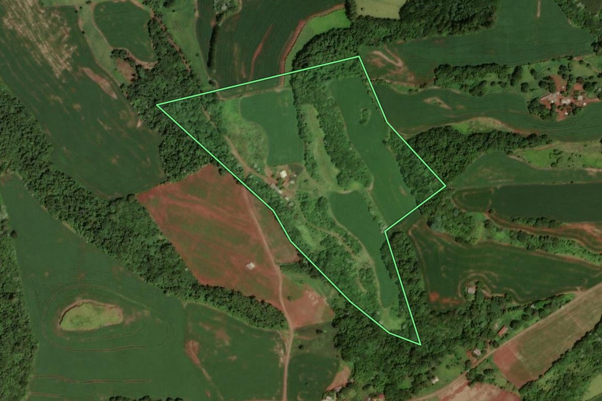 Imagem de satélite do imóvel rural em Dois Vizinhos (PR), com o contorno declarado no CAR desenhado por cima.