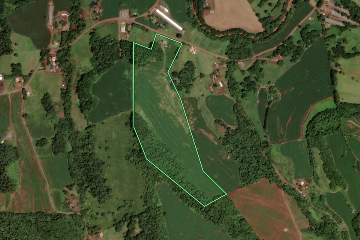 Imagem de satélite do imóvel rural em Dois Vizinhos (PR), com o contorno declarado no CAR desenhado por cima.
