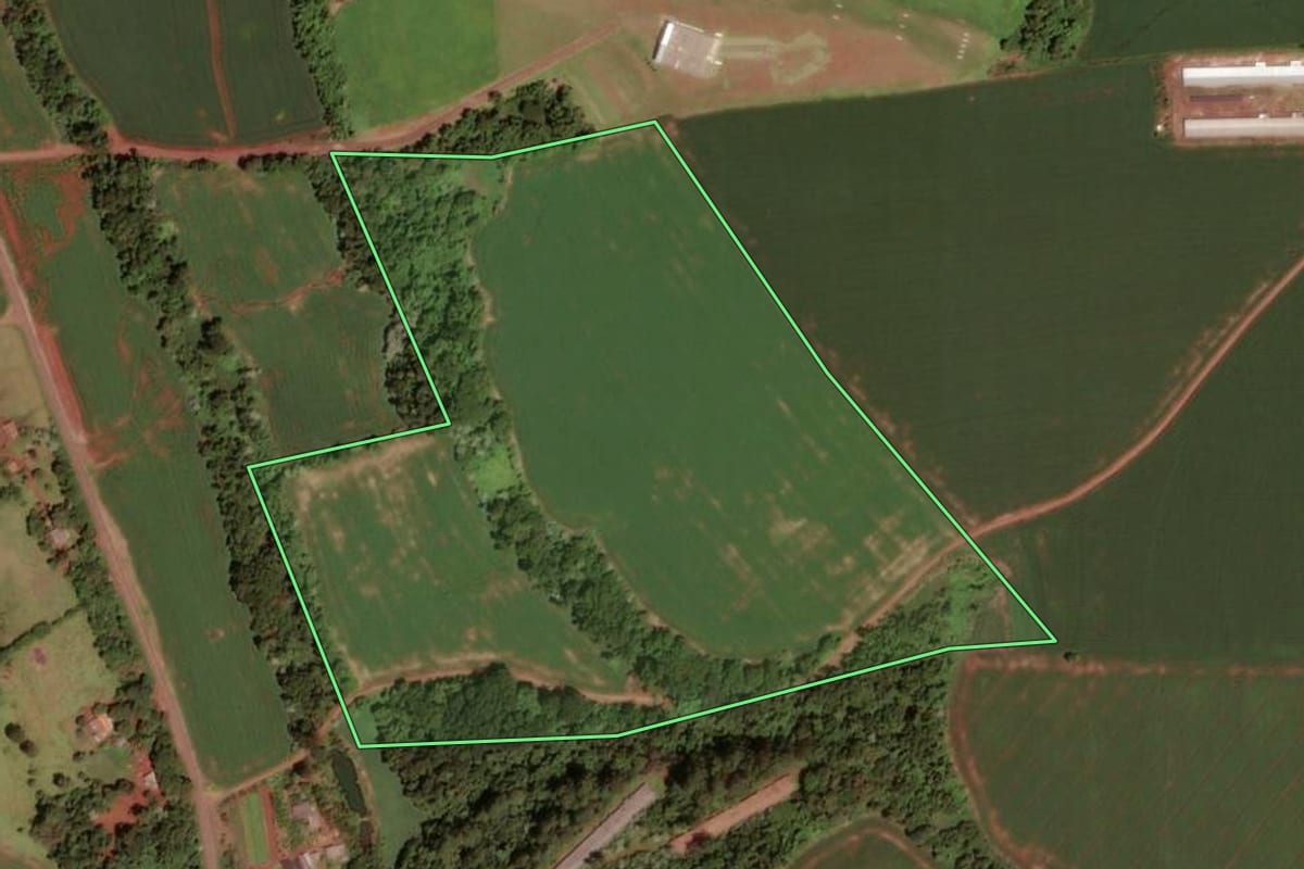 Imagem de satélite do imóvel rural em Dois Vizinhos (PR), com o contorno declarado no CAR desenhado por cima.