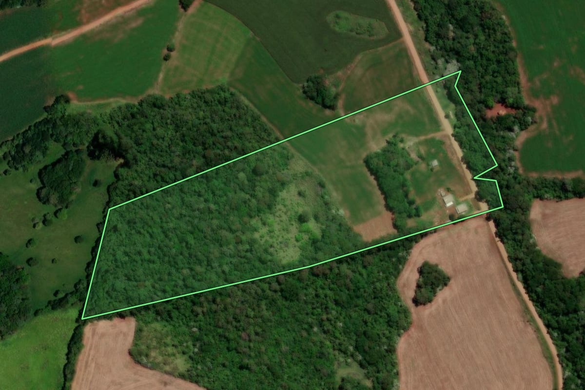 Imagem de satélite do imóvel rural em Dois Vizinhos (PR), com o contorno declarado no CAR desenhado por cima.