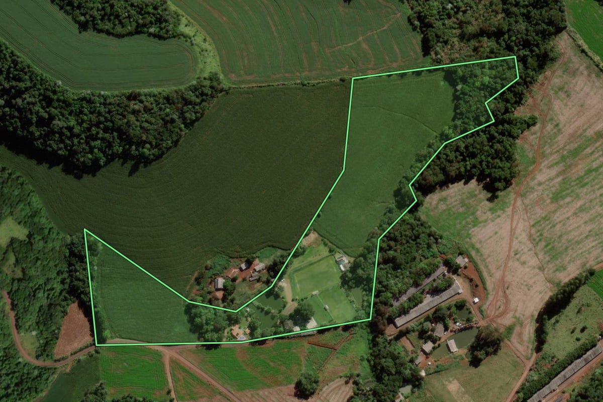 Imagem de satélite do imóvel rural em Dois Vizinhos (PR), com o contorno declarado no CAR desenhado por cima.