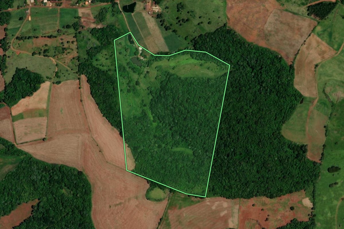 Imagem de satélite do imóvel rural em Dois Vizinhos (PR), com o contorno declarado no CAR desenhado por cima.