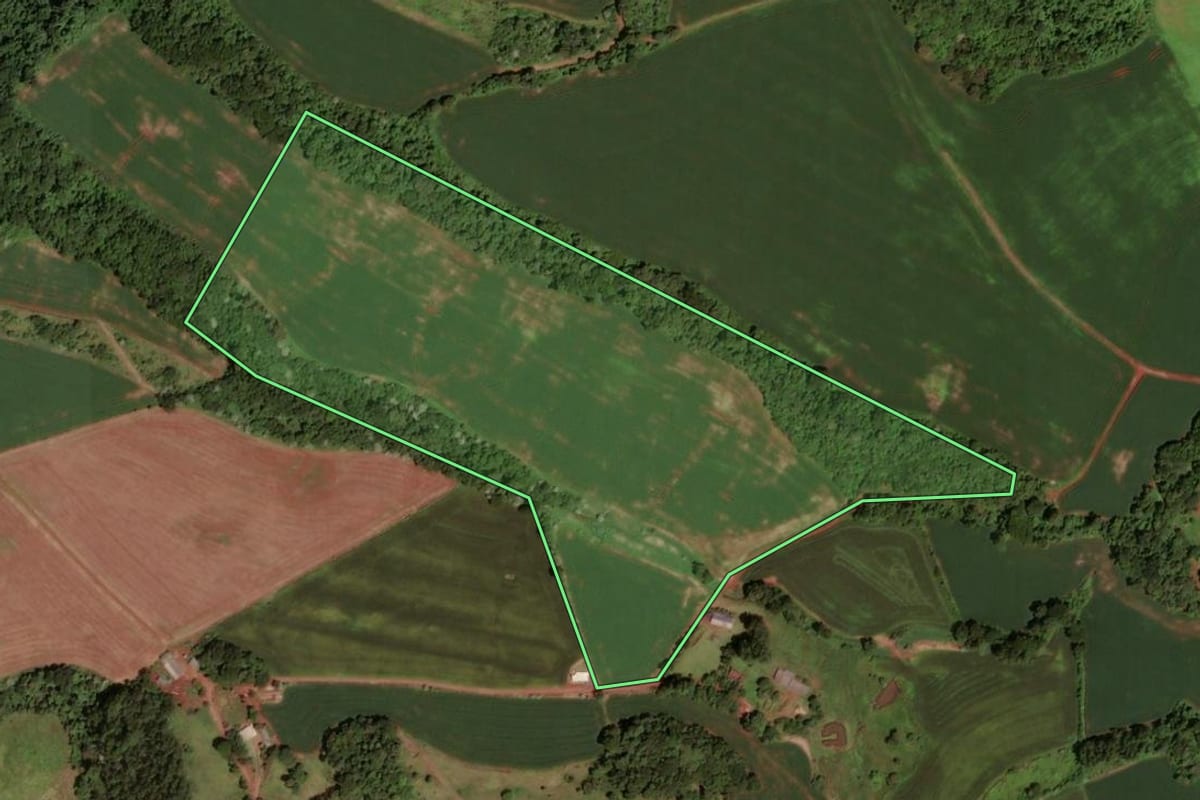 Imagem de satélite do imóvel rural em Dois Vizinhos (PR), com o contorno declarado no CAR desenhado por cima.