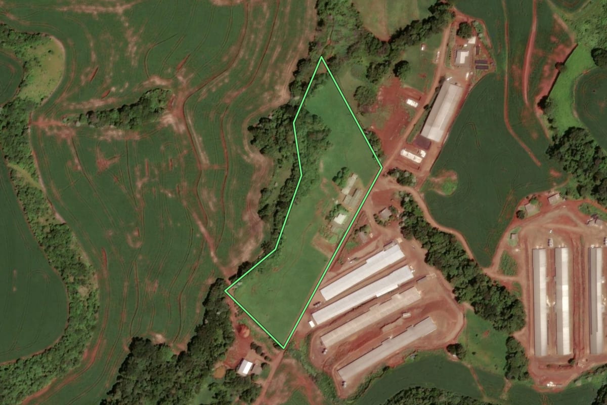 Imagem de satélite do imóvel rural em Dois Vizinhos (PR), com o contorno declarado no CAR desenhado por cima.
