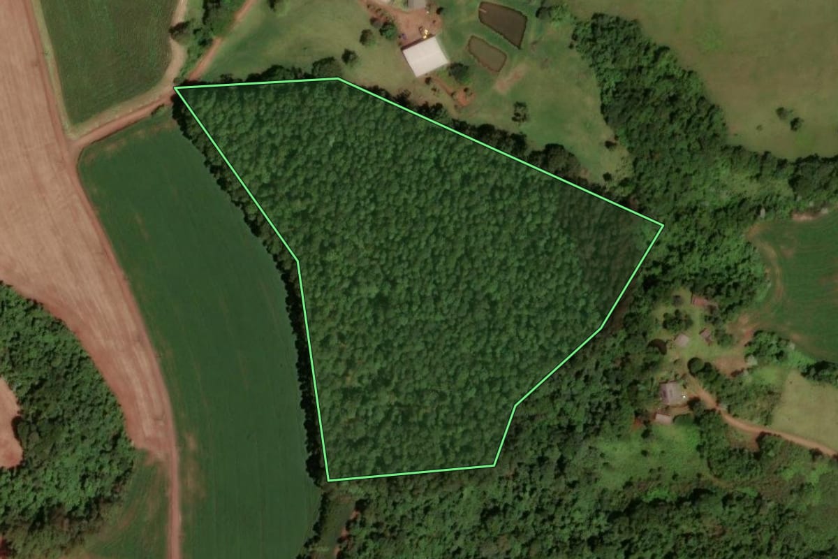 Imagem de satélite do imóvel rural em Dois Vizinhos (PR), com o contorno declarado no CAR desenhado por cima.