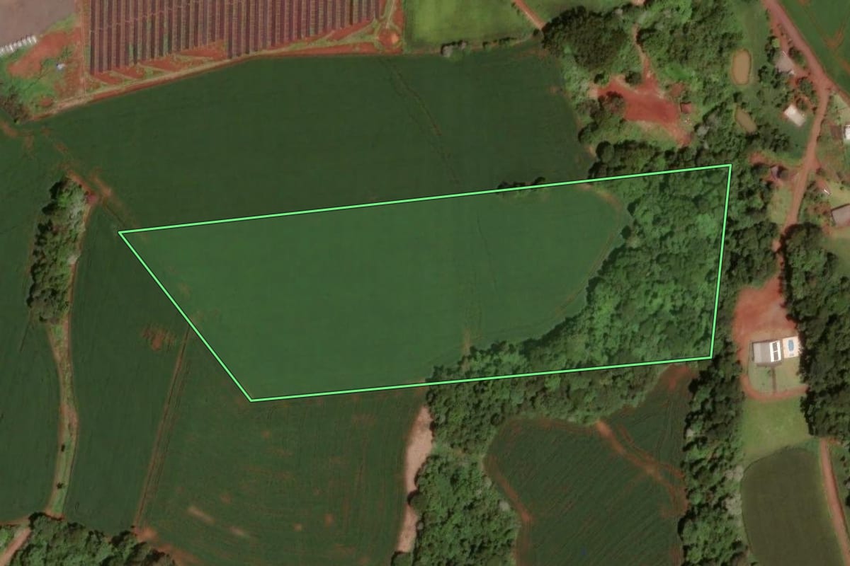 Imagem de satélite do imóvel rural em Dois Vizinhos (PR), com o contorno declarado no CAR desenhado por cima.