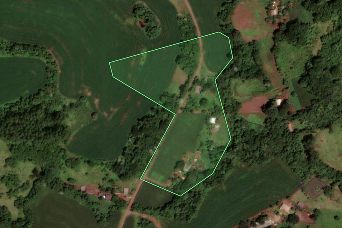 Imagem de satélite do imóvel rural em Dois Vizinhos (PR), com o contorno declarado no CAR desenhado por cima.