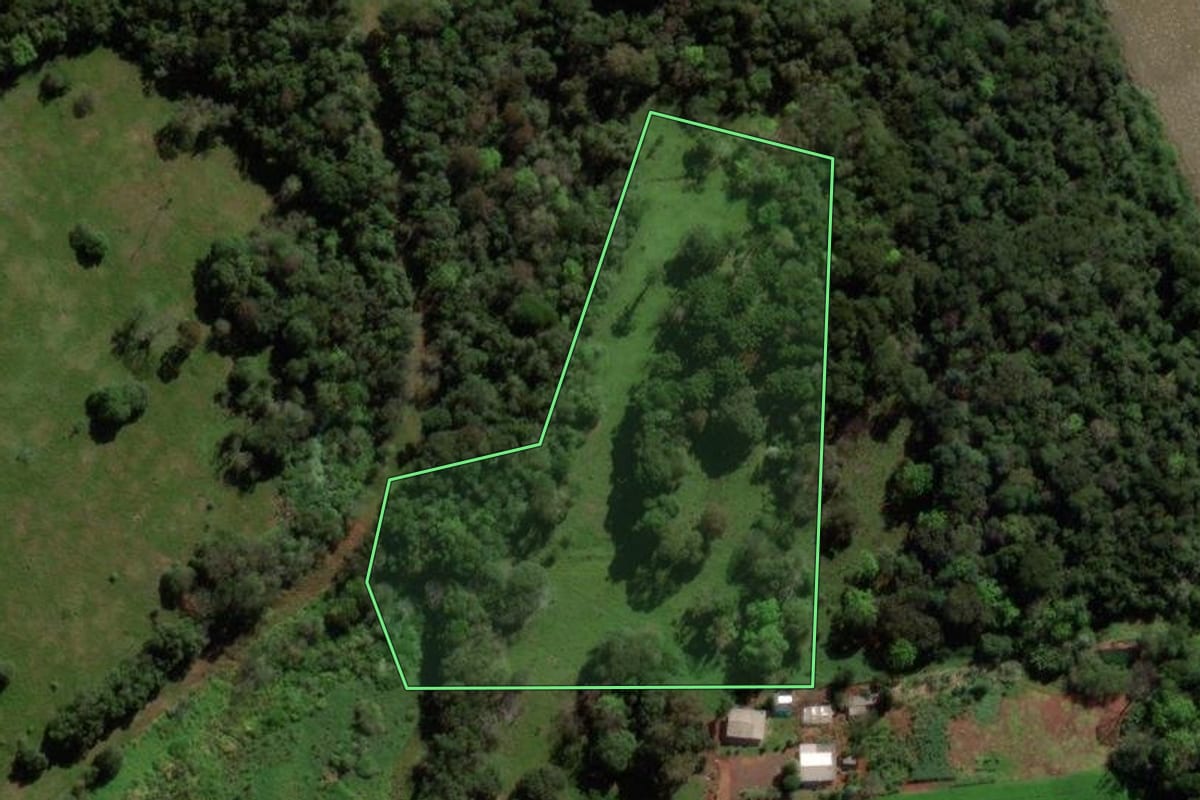 Imagem de satélite do imóvel rural em Dois Vizinhos (PR), com o contorno declarado no CAR desenhado por cima.