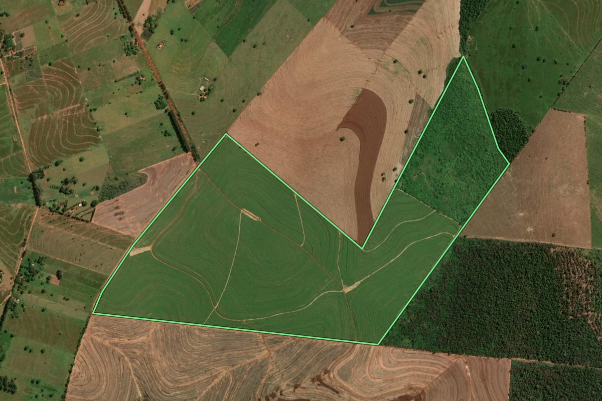 Imagem de satélite do imóvel rural em Douradina (PR), com o contorno declarado no CAR desenhado por cima.