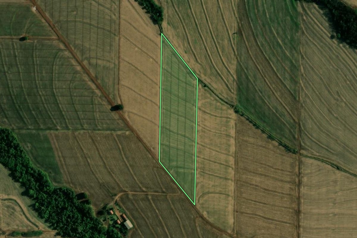 Imagem de satélite do imóvel rural em Doutor Camargo (PR), com o contorno declarado no CAR desenhado por cima.