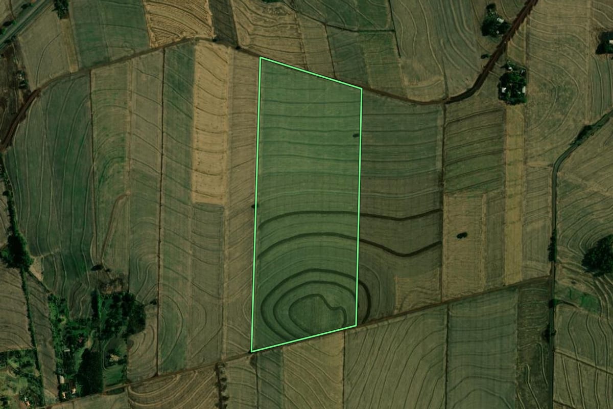Imagem de satélite do imóvel rural em Doutor Camargo (PR), com o contorno declarado no CAR desenhado por cima.