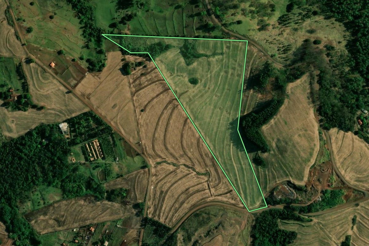 Imagem de satélite do imóvel rural em Doutor Camargo (PR), com o contorno declarado no CAR desenhado por cima.