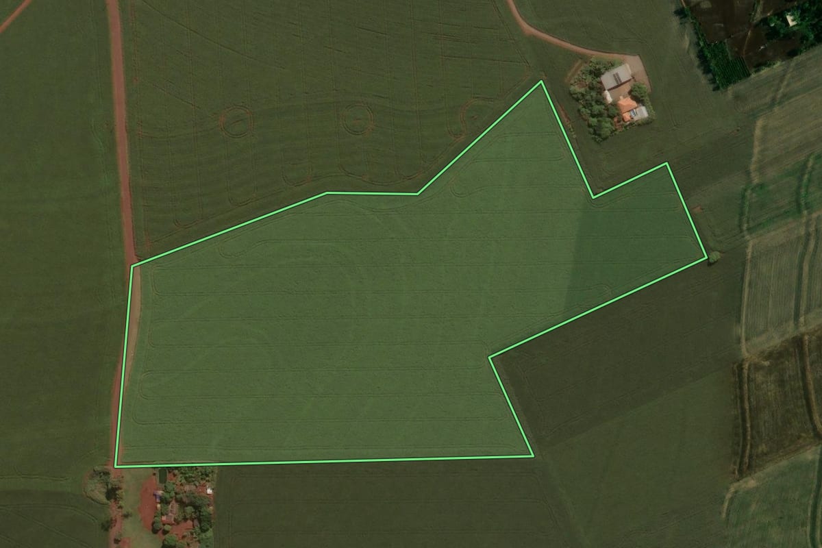 Imagem de satélite do imóvel rural em Doutor Camargo (PR), com o contorno declarado no CAR desenhado por cima.