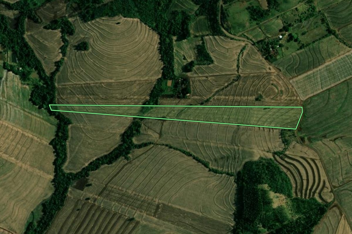 Imagem de satélite do imóvel rural em Doutor Camargo (PR), com o contorno declarado no CAR desenhado por cima.
