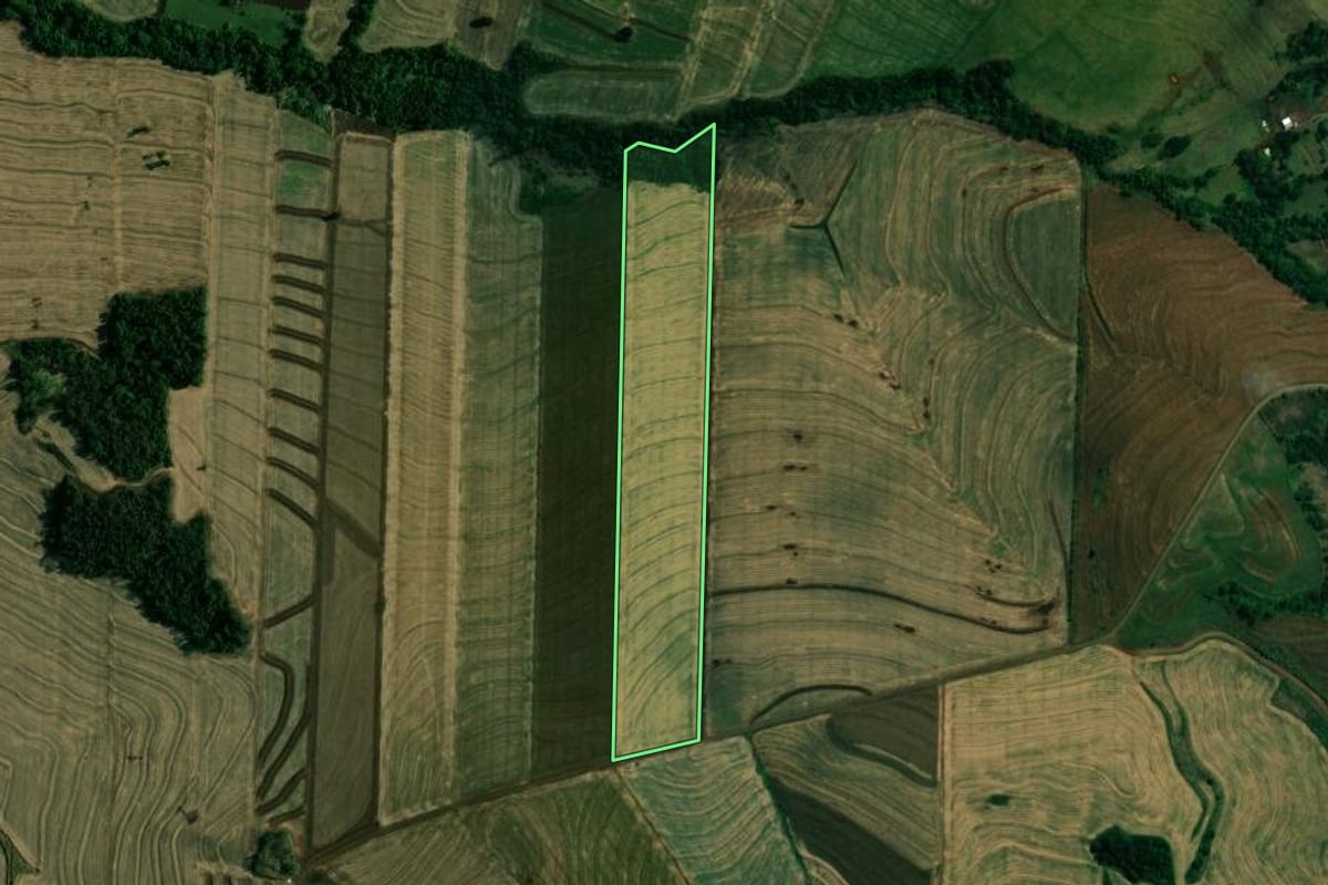 Imagem de satélite do imóvel rural em Doutor Camargo (PR), com o contorno declarado no CAR desenhado por cima.