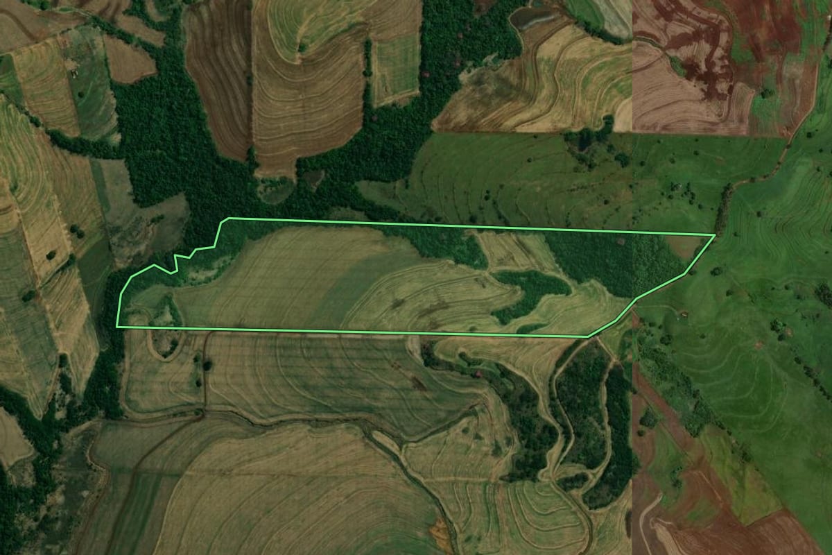 Imagem de satélite do imóvel rural em Doutor Camargo (PR), com o contorno declarado no CAR desenhado por cima.