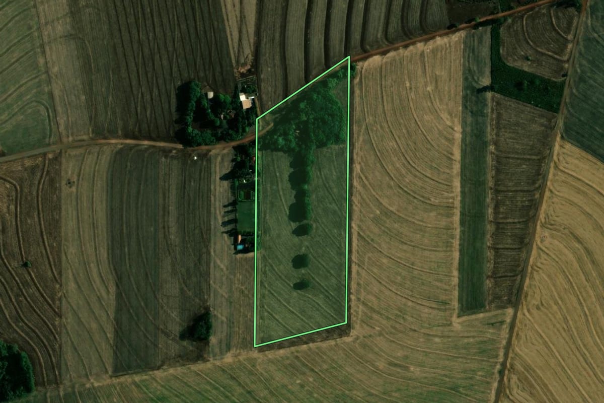 Imagem de satélite do imóvel rural em Doutor Camargo (PR), com o contorno declarado no CAR desenhado por cima.