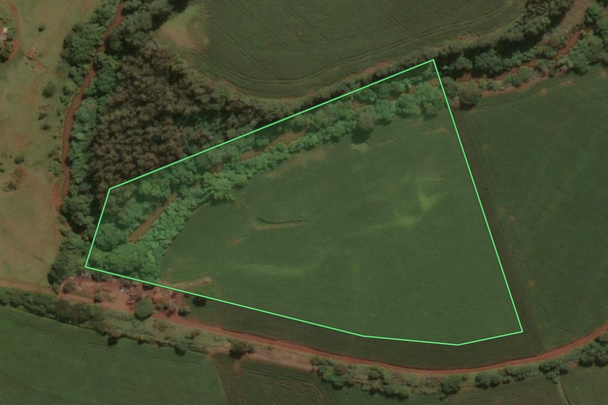 Imagem de satélite do imóvel rural em Doutor Camargo (PR), com o contorno declarado no CAR desenhado por cima.